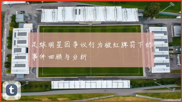 足球明星因争议行为被红牌罚下的事件回顾与分析