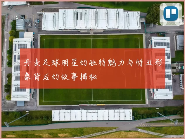 丹麦足球明星的独特魅力与特丑形象背后的故事揭秘