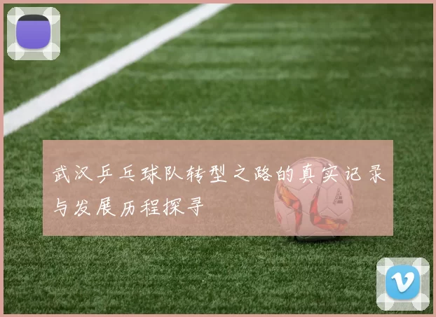 武汉乒乓球队转型之路的真实记录与发展历程探寻