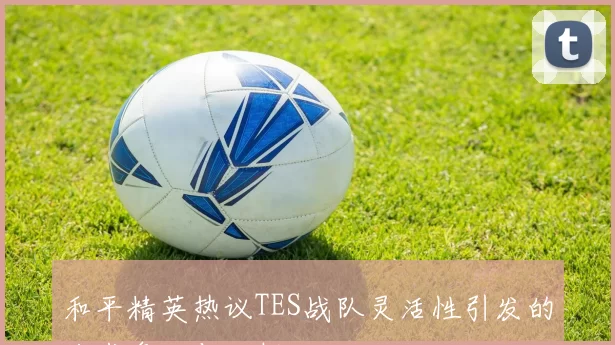 和平精英热议TES战队灵活性引发的战术争论与分析