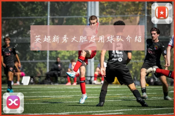 英超新秀大胆启用球队介绍