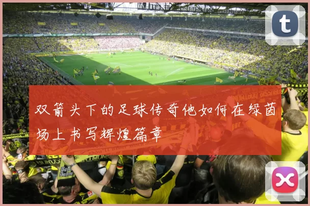 双箭头下的足球传奇他如何在绿茵场上书写辉煌篇章