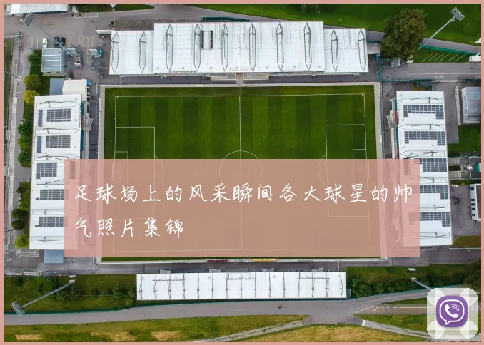 足球场上的风采瞬间各大球星的帅气照片集锦
