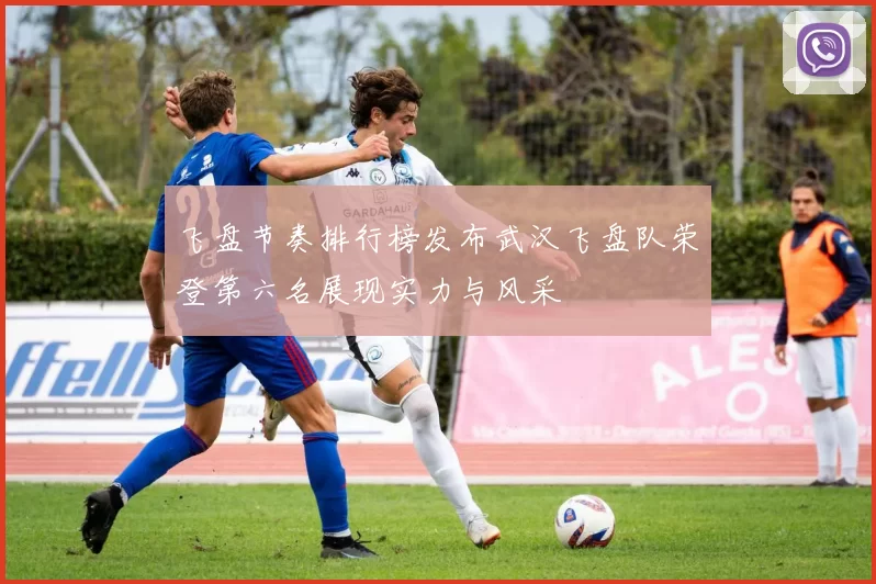 飞盘节奏排行榜发布武汉飞盘队荣登第六名展现实力与风采