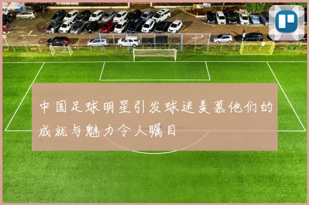 中国足球明星引发球迷羡慕他们的成就与魅力令人瞩目