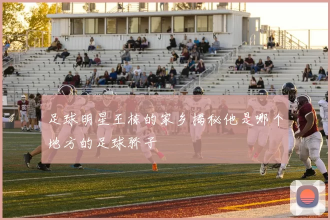 足球明星王栋的家乡揭秘他是哪个地方的足球骄子