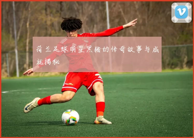 荷兰足球明星黑猪的传奇故事与成就揭秘