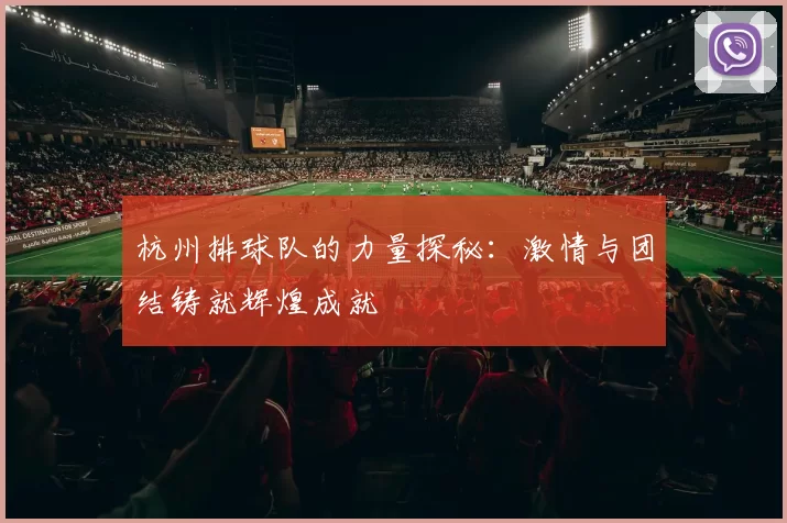 杭州排球队的力量探秘：激情与团结铸就辉煌成就